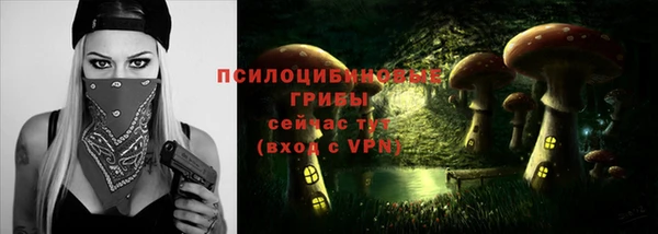 твердый Няндома