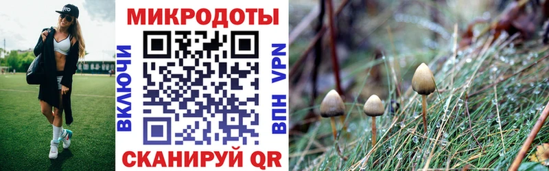 Галлюциногенные грибы GOLDEN TEACHER  Нефтегорск 