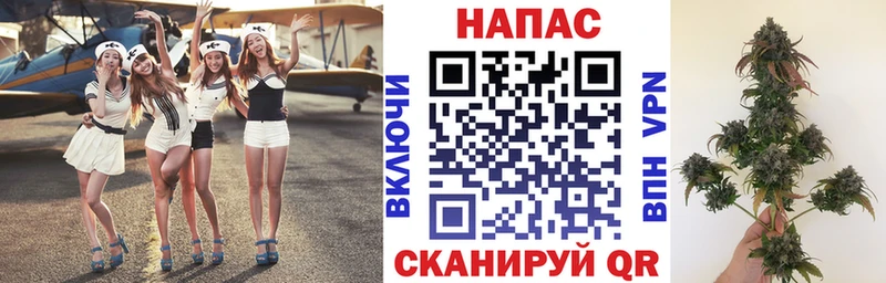 Конопля конопля  цены наркотик  мега как войти  Нефтегорск 